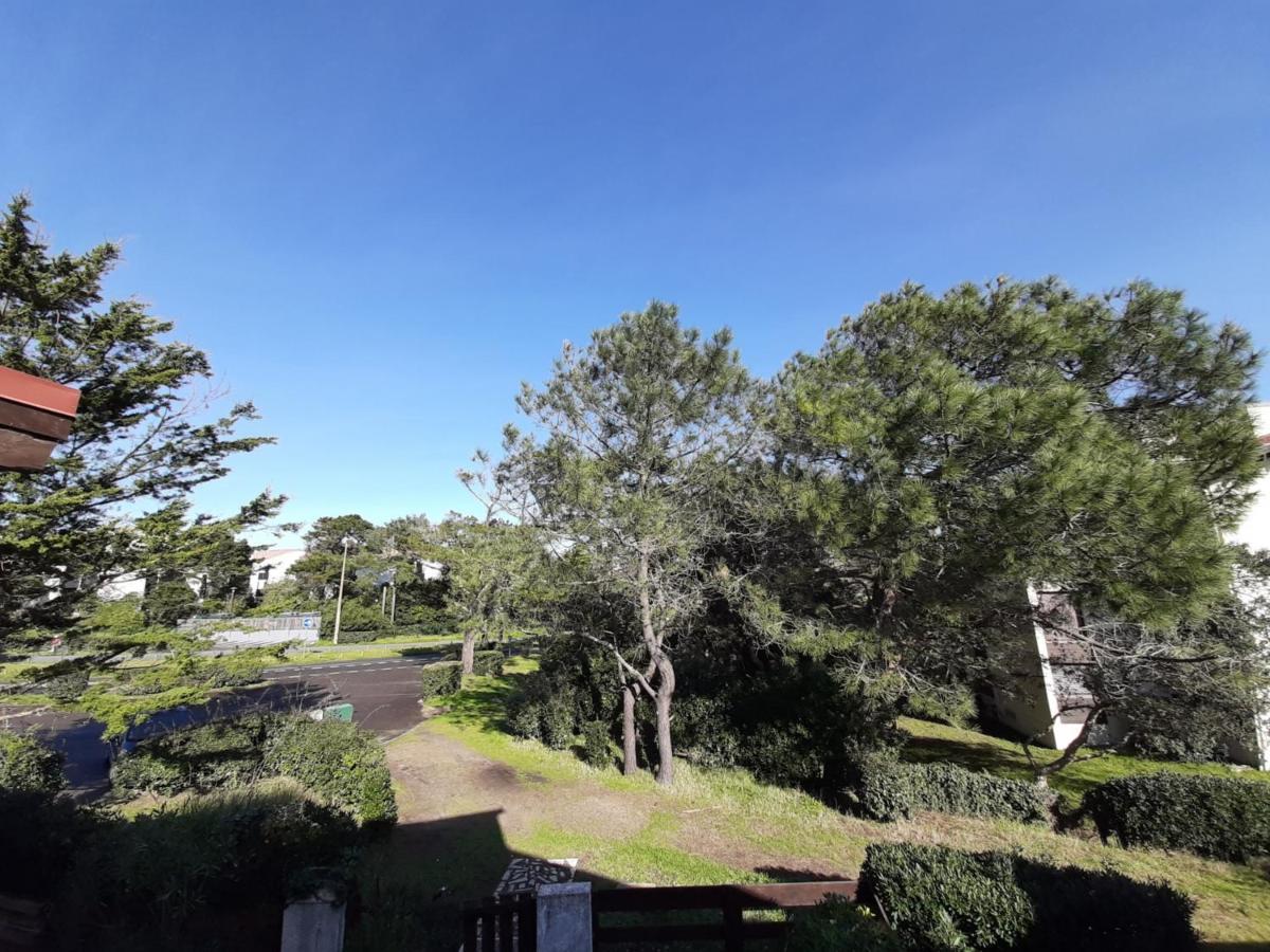 Maison Renovee Avec Terrasse A 700M Des Plages, Marche Et Activites - Tennis Et Piste Cyclable A 10M - Fr-1-239-385 Seignosse Zewnętrze zdjęcie