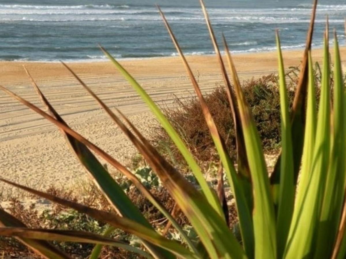 Maison Renovee Avec Terrasse A 700M Des Plages, Marche Et Activites - Tennis Et Piste Cyclable A 10M - Fr-1-239-385 Seignosse Zewnętrze zdjęcie