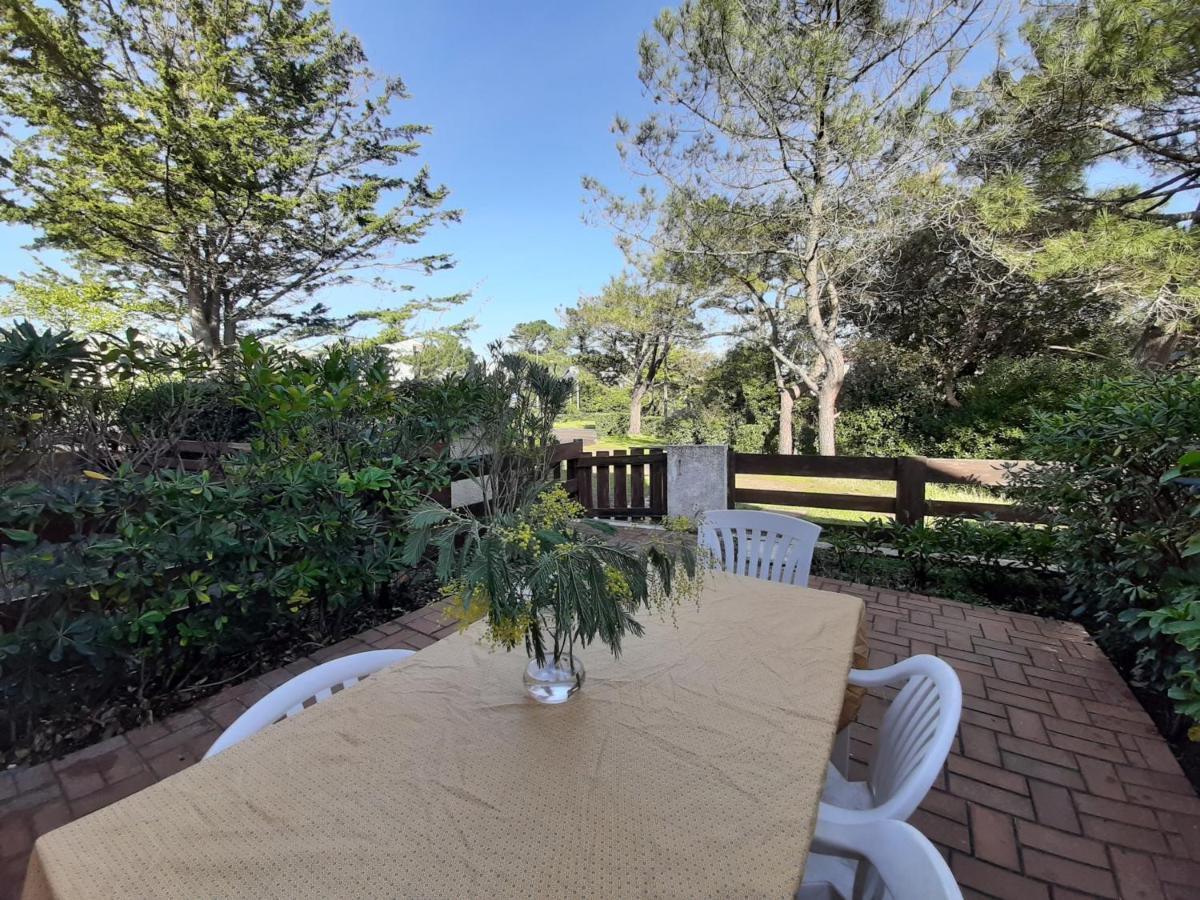 Maison Renovee Avec Terrasse A 700M Des Plages, Marche Et Activites - Tennis Et Piste Cyclable A 10M - Fr-1-239-385 Seignosse Zewnętrze zdjęcie